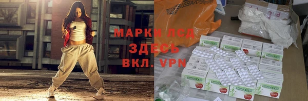 хмурый Пересвет