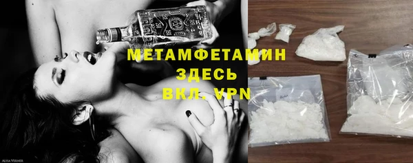 хмурый Пересвет