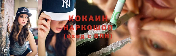 хмурый Пересвет