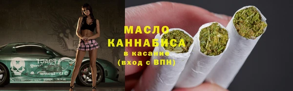 хмурый Пересвет