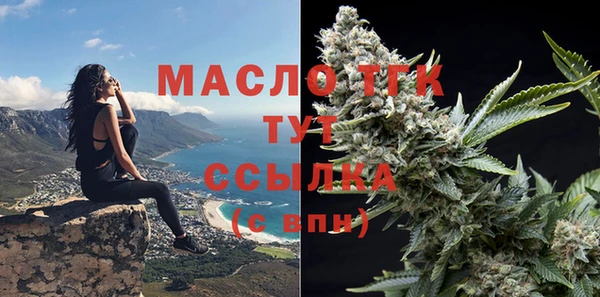 хмурый Пересвет
