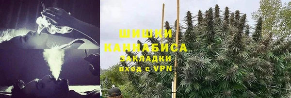 хмурый Пересвет