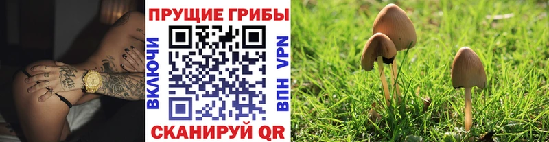 Псилоцибиновые грибы MAGIC MUSHROOMS  Родники 