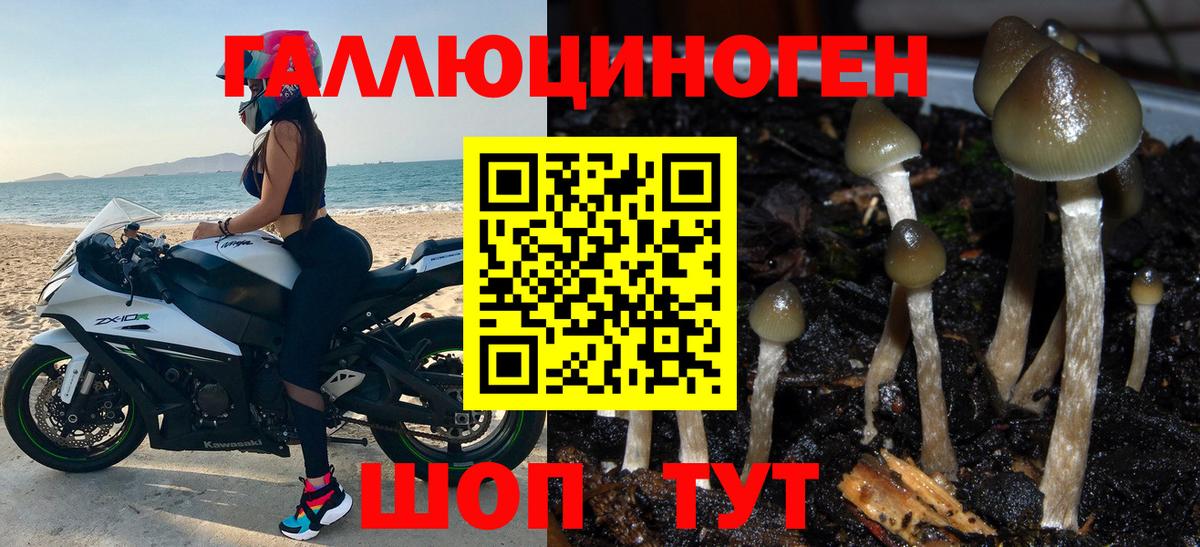 Родники  купить закладку  Вход с VPN  Псилоцибиновые грибы MAGIC MUSHROOMS 